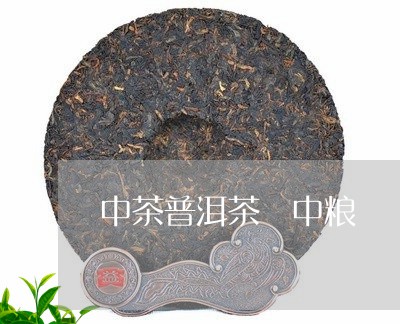 中茶普洱茶 中粮/2023031692715